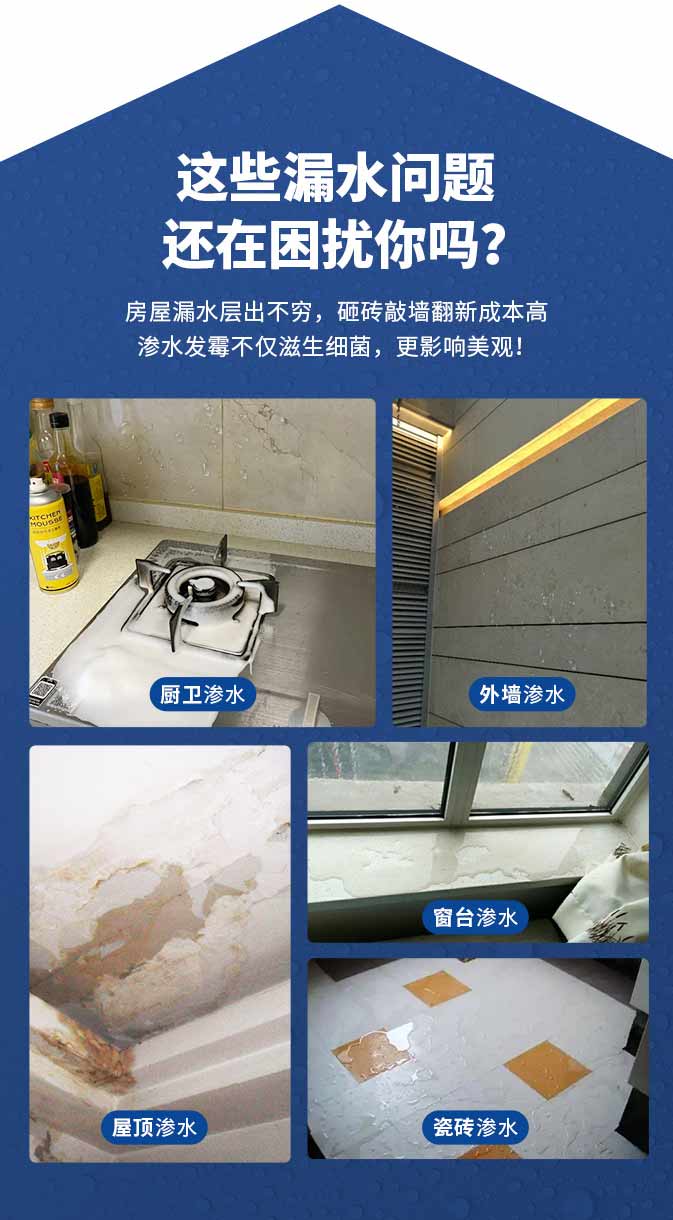 尊龙凯时·(中国游)官方网站